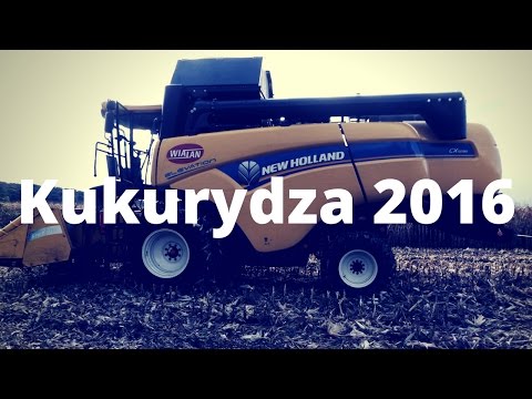 Kukurydza 2016 z MXN AgroTV