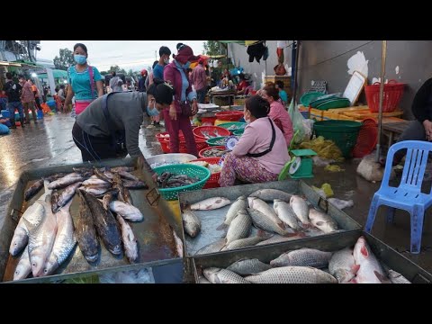 Amazing Site Selling Fish & SeaFood @Prek Phnov - Early Morning Fish Market at Prek Phnov Bridge