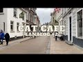 Cat Cafe Lanalog 2