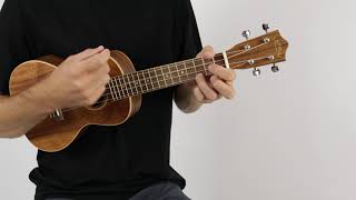 Video thumbnail for Lanikai ACST-C Concert Ukulele by The Ukebug