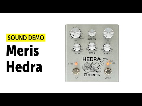 Hedra by Meris | RockBoard | PedalPedia