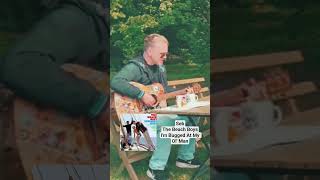 Seb - The Beach Boys - I'm Bugged At My Ol' Man #brianwilson #beachboys #guitarcover #60smusic