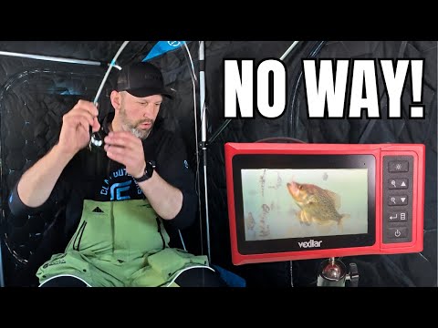 Underwater Camera Ice Fishing: You Won’t Believe How Fish REALLY React to Your Bait!