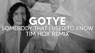 Gotye - Somebody That I Used To Know (Tim Hox Remix) [TECH HOUSE]