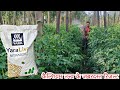 Yara Liva Nitrabor Calcium Boron Importance Of Calcium Element Uses Of Calcium Praveen Th