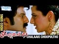 Srimannarayana Movie Songs Chalaaki Choopultho Full HD Video Song Balakrishna Isha Chawla
