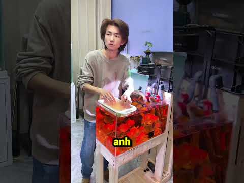 Cứ Ngỡ Tiễn Đàn Cá Về Chầu Trời, Ai Dè...😅