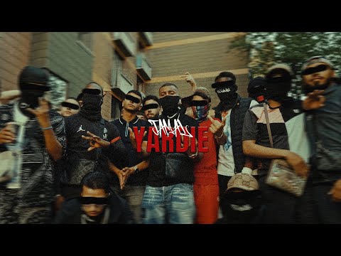 Miniatura de YARDIE