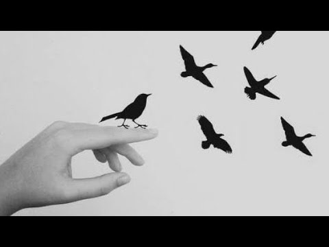 1 heure reiki énergie  bruit d'oiseaux pour reiki clochette toutes les 3 minutes