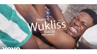Shane-E - Wukliss Bwoy (Official Video)