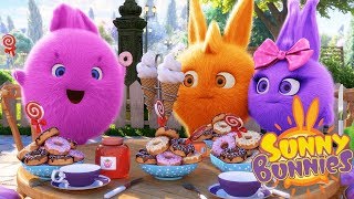 s For Kids SUNNY BUNNIES SWEET FEAST Funny s For Kids Mp4 3GP & Mp3