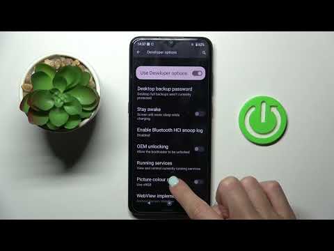 How to Activate Auto System Updates in NOKIA C12 - System Updates Management