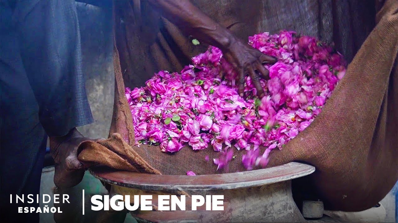 Cómo los perfumistas de la India recrean el olor de la lluvia sobre la tierra | Sigue en pie