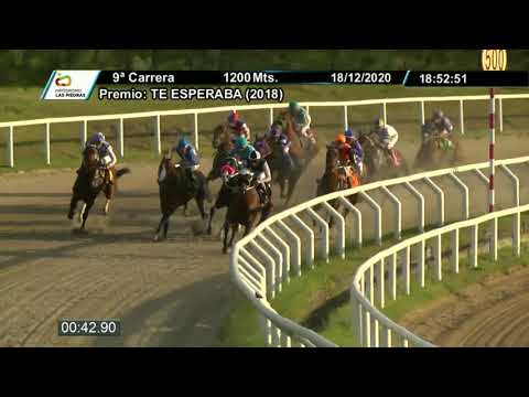 201218 c09 - SHAGO (ARG) - HIPODROMO LAS PIEDRAS
