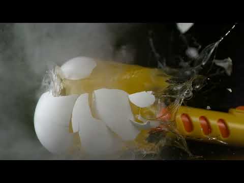 Bug-a-salt Shred-er vs EGG experiment at 38,000 fps