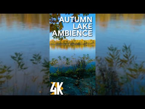 4K Relaxing Vertical Video for Tablets & iPhones with Nature Sounds - Autumn Lake Ambience