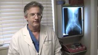 Veterinarian