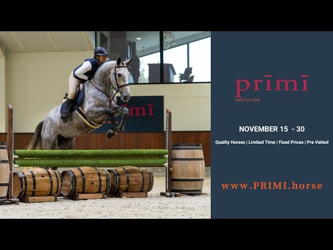 Prīmī – First in Line present's Talina  - Jump