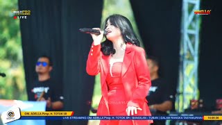 Download lagu Raib (Bunga Desa) - Sherly KDI - OM Adella Live Suru Geyer Grobogan mp3