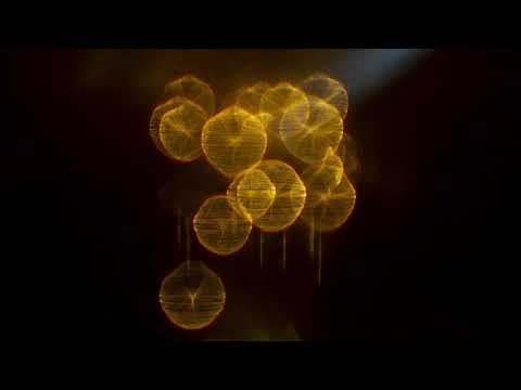 Señor Loop - Cuando todo está bien (Audio Oficial)