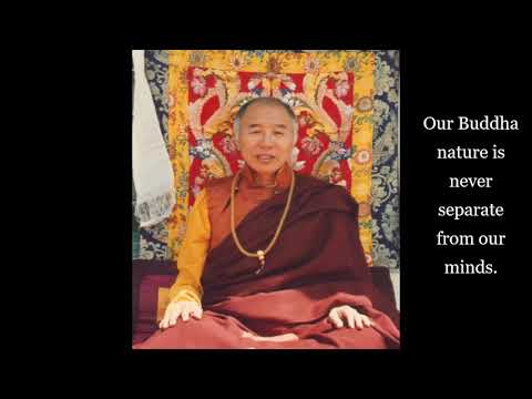 Tulku Urgyen Rinpoche ~  Non-Duality ~ Dzogchen