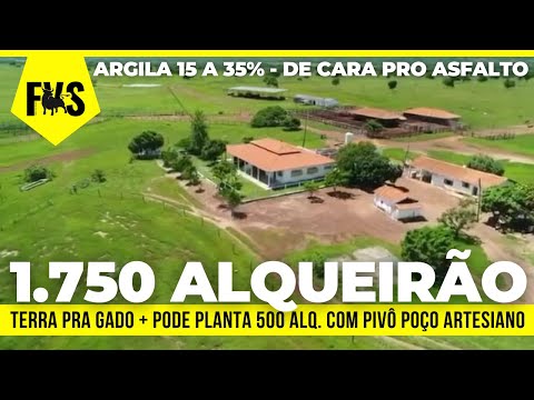 110 FOR R$90 MILLION - 1,000-ALQ FARM IN GOIÁS - LAND FOR CATTLE AND CROP