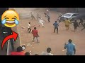 Crazy Funniest Videos Ever In The World Eps 05