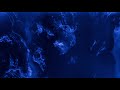 Barry Schrader : Excerpt from "Aether"