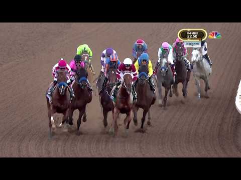 2017 Breeders' Cup Classic - Gun Runner