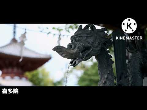 川越市PR動画をつくろう。