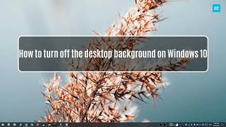 How to turn off the desktop background on Windows 10