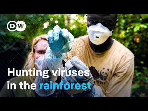 Can Future Pandemics Be Prevented?