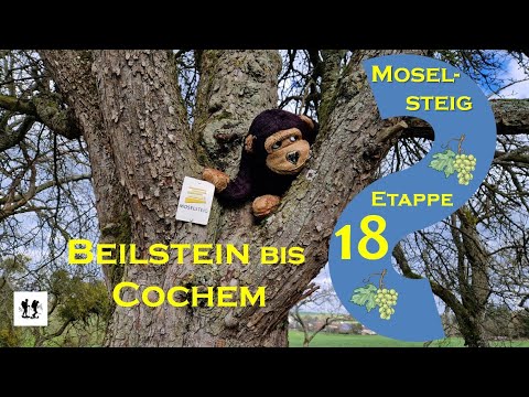#Moselsteig, Etappe 18:  Von #Beilstein bis #Cochem