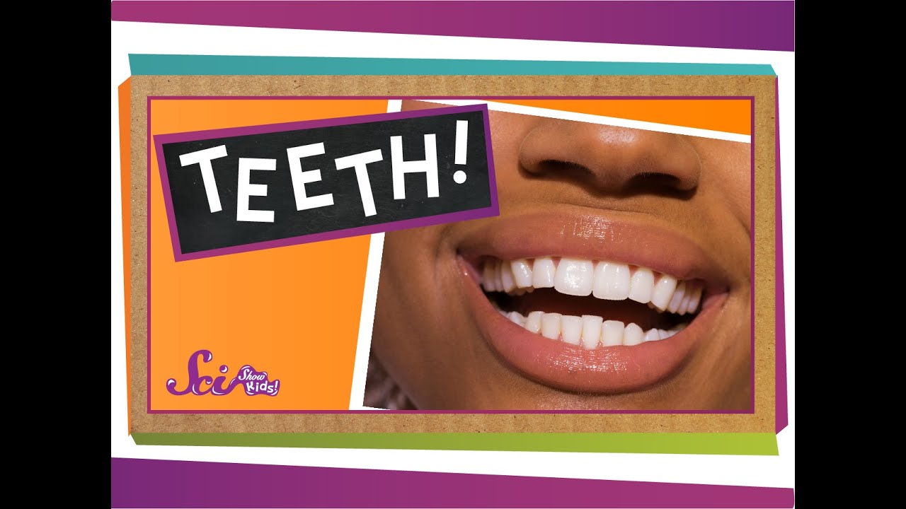 Teeth: Not Just for Smiles!
