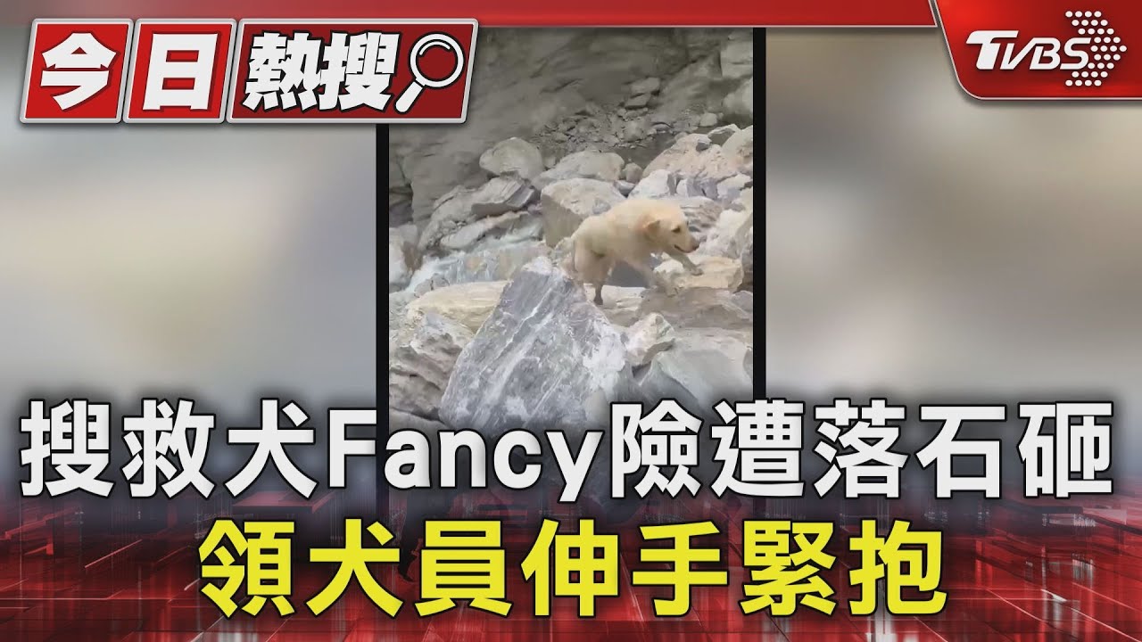 搜救犬Fancy險遭落石砸 領犬員伸手緊抱