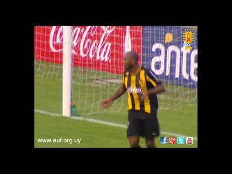 Show de goles de la fecha 14 del Torneo Clausura 2013
