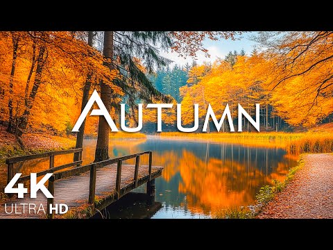 Enchanting Autumn Forests with Beautiful Piano Music🍁4K Autumn Ambience & Fall Foliage #20