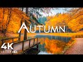 Enchanting Autumn Forests With Beautiful Piano Music 4K Autumn Ambience Fall Foliage 20