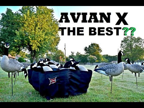 What is the Best Duck and Goose Decoy? Avian X Decoy Review