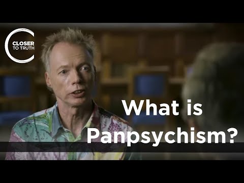 Andy Clark - What is Panpsychism?