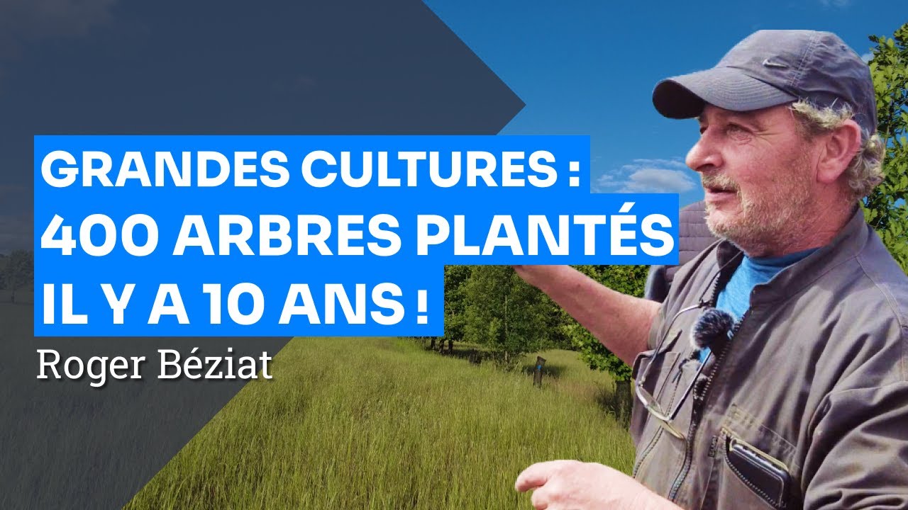 Agroforesterie en grandes cultures : 10 ha de bois d'oeuvre plantés il y a 10 ans !, Roger Béziat