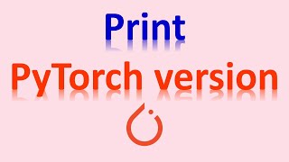 Check PyTorch version