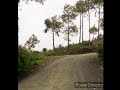 Caminos de Guanajuato - Los Caminantes