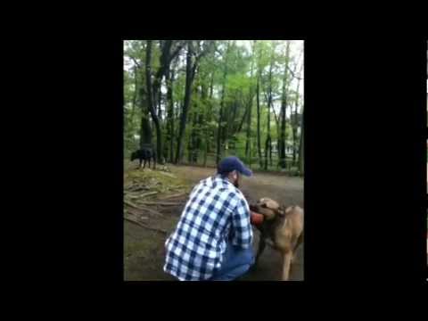 All American Dogumentary Bloopers