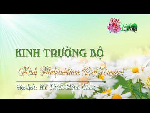 15. Kinh Ðại duyên (Mahànidàna sutta)