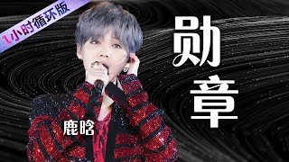 鹿晗现场演唱《勋章》 整首歌伤感又励志！Lu Han:Medals（一小时循环版）| 中国音乐电视 Music TV