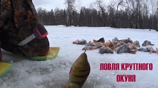 Зимняя рыбалка в тайге на окуня