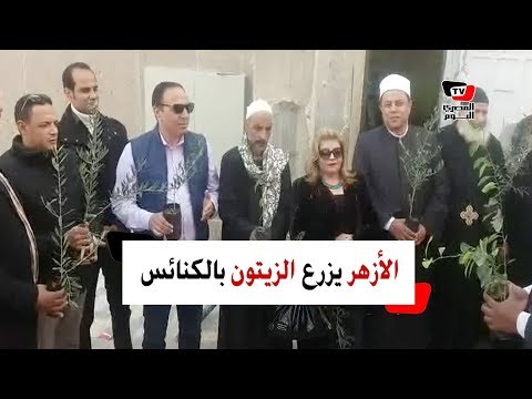 علماء الأزهر يزرعون بكنائس بالإسماعيلية