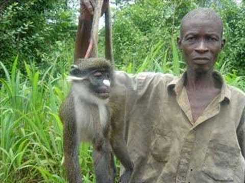 Creutzfeld & Jakob - Partner Teil 2