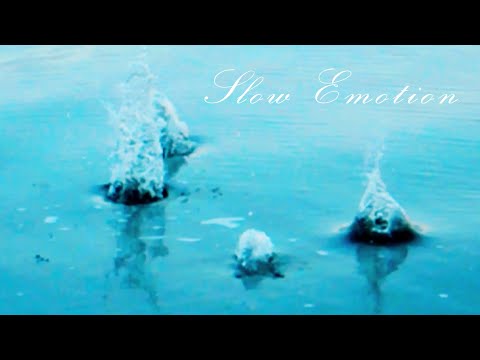 ZaPaTaZz - SLoW eMoTioN (Official Video)